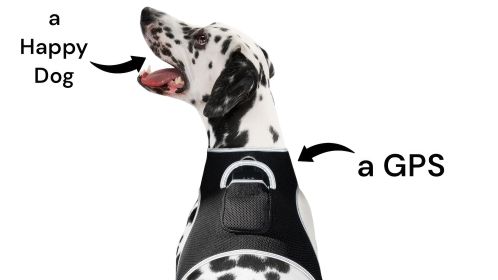 Pet Tracker Mini GPS Dog Tracking Device Made from Pet-Friendly Materials Size:XS