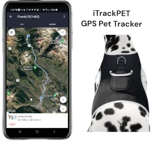 Pet Tracker Mini GPS Dog Tracking Device Made from Pet-Friendly Materials Size:XL